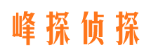 民权侦探